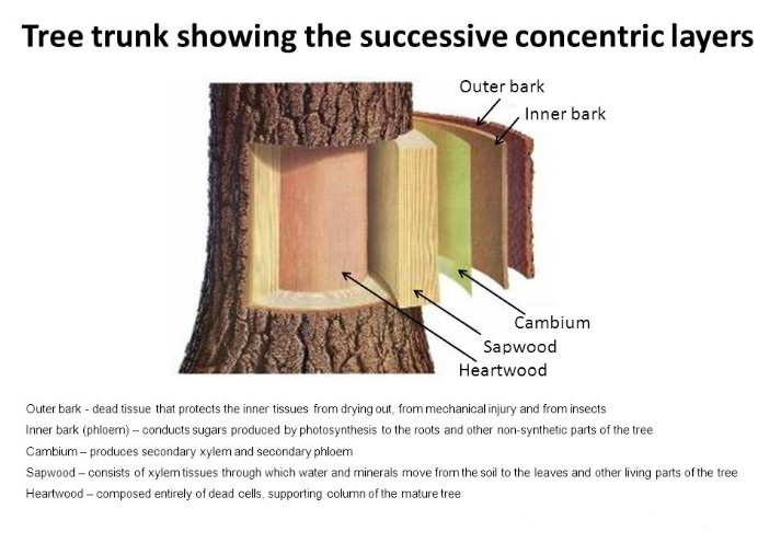 messageImage_1546503837126